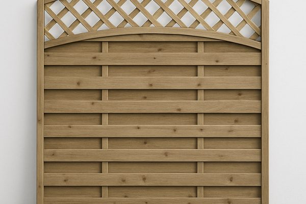 photo_2025-09-28_07-58-55 photo_2025-09-28_07-58-55